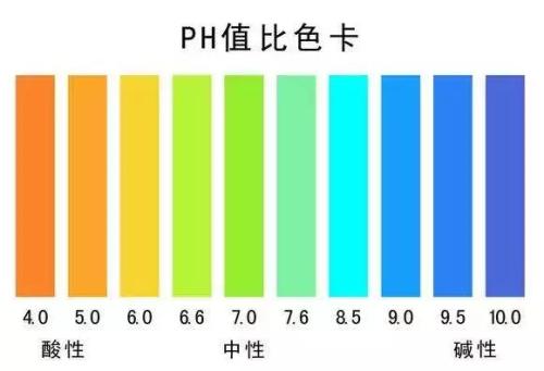 ph卡片